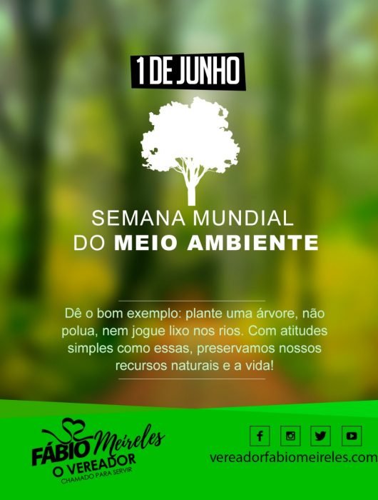 1 de Junho – Semana mundial do meio ambiente Dê o bom exemplo: plante uma árvore, não polua, nem jogue lixo nos rios. Com atitudes simples como essas, preservamos nossos recursos naturais e a vida!